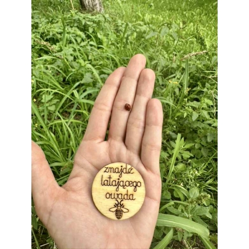 Zestaw żetonów Szukajek- dom i dwór (48 żetonów)